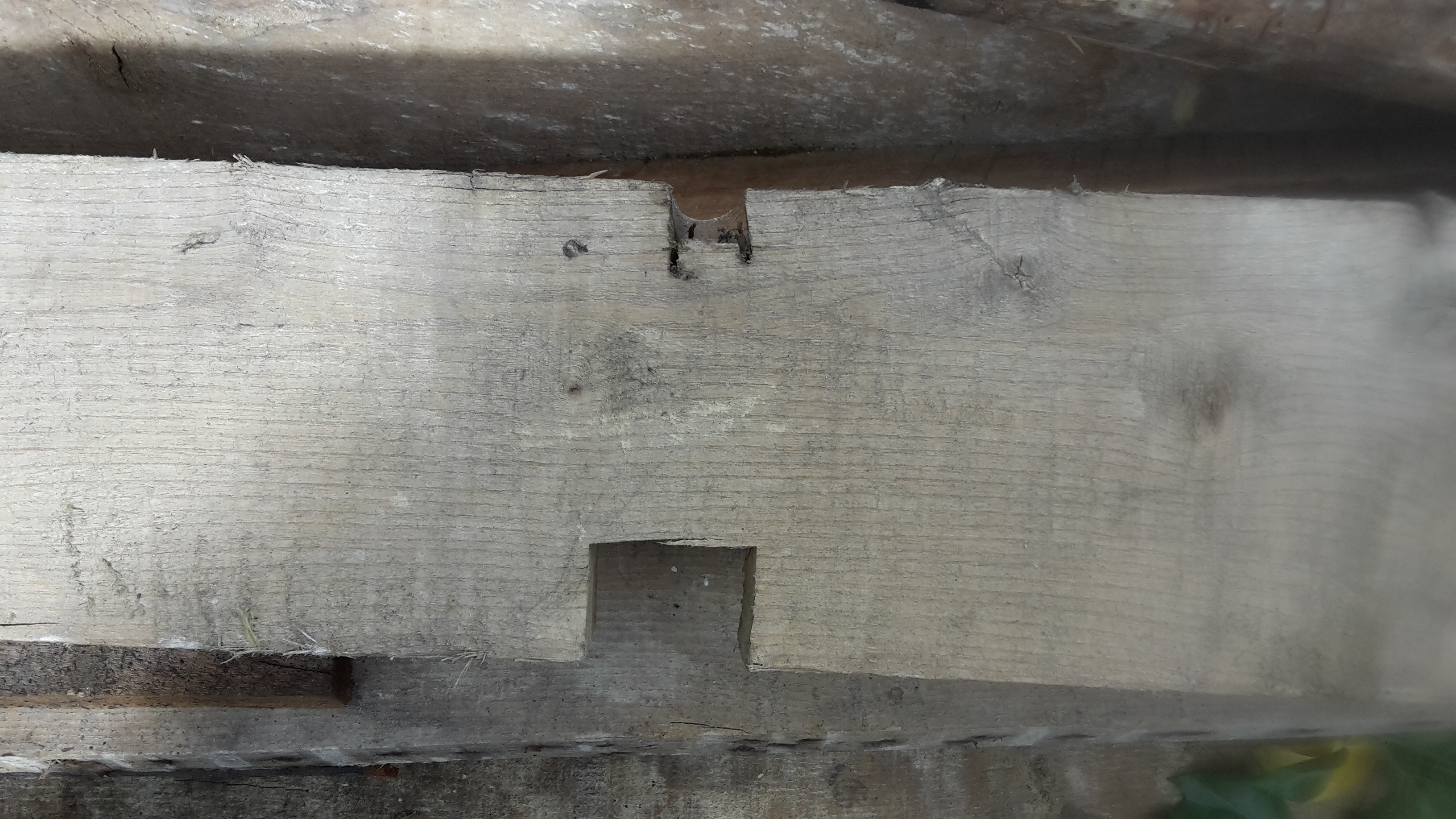 Joist notched top and bottom